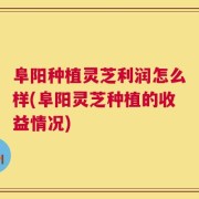 阜阳种植灵芝利润怎么样(阜阳灵芝种植的收益情况)