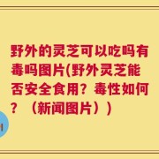 野外的灵芝可以吃吗有毒吗图片(野外灵芝能否安全食用？毒性如何？（新闻图片）)