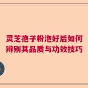灵芝孢子粉泡好后如何辨别其品质与功效技巧