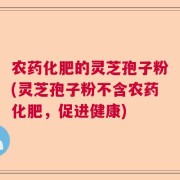 农药化肥的灵芝孢子粉(灵芝孢子粉不含农药化肥，促进健康)