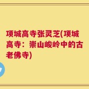 项城高寺张灵芝(项城高寺：崇山峻岭中的古老佛寺)
