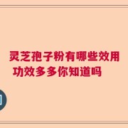 灵芝孢子粉有哪些效用 功效多多你知道吗