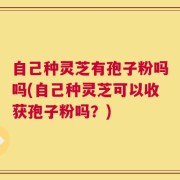 自己种灵芝有孢子粉吗吗(自己种灵芝可以收获孢子粉吗？)