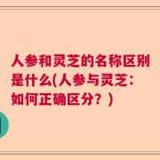 人参和灵芝的名称区别是什么(人参与灵芝：如何正确区分？)