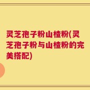 灵芝孢子粉山楂粉(灵芝孢子粉与山楂粉的完美搭配)