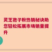 灵芝孢子粉热销秘诀助您轻松拓展市场销量提升