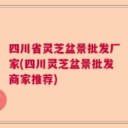 四川省灵芝盆景批发厂家(四川灵芝盆景批发商家推荐)