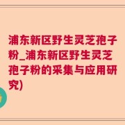 浦东新区野生灵芝孢子粉_浦东新区野生灵芝孢子粉的采集与应用研究)