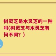 树灵芝是木灵芝的一种吗(树灵芝与木灵芝有何不同？)