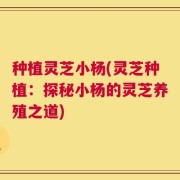 种植灵芝小杨(灵芝种植：探秘小杨的灵芝养殖之道)