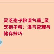 灵芝孢子粉湿气重_灵芝孢子粉：湿气管理与储存技巧