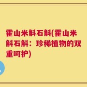 霍山米斛石斛(霍山米斛石斛：珍稀植物的双重呵护)