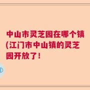 中山市灵芝园在哪个镇(江门市中山镇的灵芝园开放了！