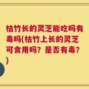 枯竹长的灵芝能吃吗有毒吗(枯竹上长的灵芝可食用吗？是否有毒？)