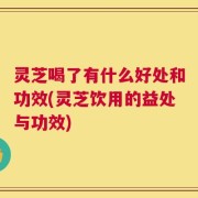 灵芝喝了有什么好处和功效(灵芝饮用的益处与功效)