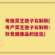 粤微灵芝孢子石斛粉(粤产灵芝孢子石斛粉：珍贵健康品的佳选)