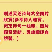 赠送灵芝诗句大全图片欣赏(荟萃诗人雅赏，灵芝诗句一线牵，图片同赏清新，灵魂瞬现自然馨。)