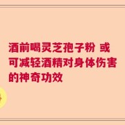 酒前喝灵芝孢子粉 或可减轻酒精对身体伤害的神奇功效