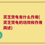 灵芝煲龟有什么作用(灵芝煲龟的功效和作用简述)
