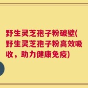 野生灵芝孢子粉破壁(野生灵芝孢子粉高效吸收，助力健康免疫)