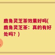 鹿角灵芝茶效果好吗(鹿角灵芝茶：真的有好处吗？)