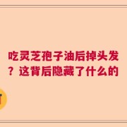 吃灵芝孢子油后掉头发？这背后隐藏了什么的
