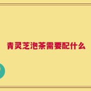 青灵芝泡茶需要配什么