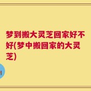 梦到搬大灵芝回家好不好(梦中搬回家的大灵芝)
