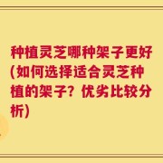 种植灵芝哪种架子更好(如何选择适合灵芝种植的架子？优劣比较分析)