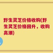 野生灵芝价格收购(野生灵芝价格回升，收购高潮)