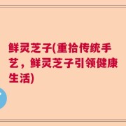 鲜灵芝子(重拾传统手艺，鲜灵芝子引领健康生活)