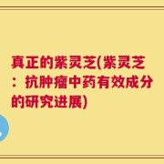 真正的紫灵芝(紫灵芝：抗肿瘤中药有效成分的研究进展)