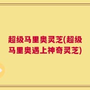 超级马里奥灵芝(超级马里奥遇上神奇灵芝)