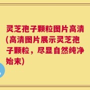 灵芝孢子颗粒图片高清(高清图片展示灵芝孢子颗粒，尽显自然纯净始末)