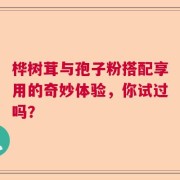 桦树茸与孢子粉搭配享用的奇妙体验，你试过吗？