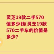 灵芝19款二手570值多少钱(灵芝19款570二手车的价值是多少？