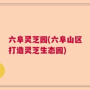 六阜灵芝园(六阜山区打造灵芝生态园)