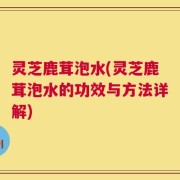 灵芝鹿茸泡水(灵芝鹿茸泡水的功效与方法详解)