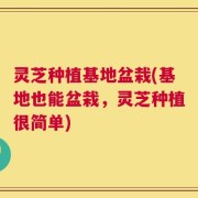 灵芝种植基地盆栽(基地也能盆栽，灵芝种植很简单)