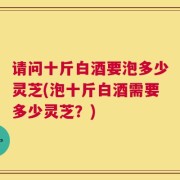 请问十斤白酒要泡多少灵芝(泡十斤白酒需要多少灵芝？)