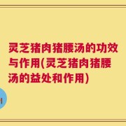 灵芝猪肉猪腰汤的功效与作用(灵芝猪肉猪腰汤的益处和作用)