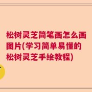 松树灵芝简笔画怎么画图片(学习简单易懂的松树灵芝手绘教程)