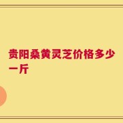 贵阳桑黄灵芝价格多少一斤