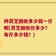 种灵芝回收多少钱一斤呢(灵芝回收价多少？每斤多少钱？)