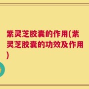 紫灵芝胶囊的作用(紫灵芝胶囊的功效及作用)