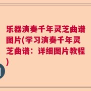 乐器演奏千年灵芝曲谱图片(学习演奏千年灵芝曲谱：详细图片教程)