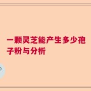一颗灵芝能产生多少孢子粉与分析