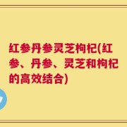 红参丹参灵芝枸杞(红参、丹参、灵芝和枸杞的高效结合)