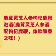 鹿茸灵芝人参枸杞鹿鞭泡酒(鹿茸灵芝人参酒配枸杞鹿鞭，体验醇香之味！)
