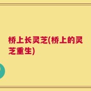桥上长灵芝(桥上的灵芝重生)